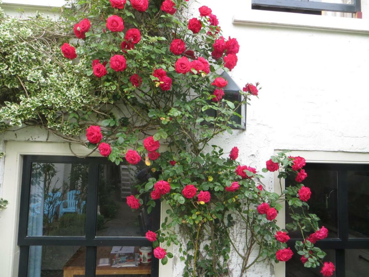Apple Tree Cottage - Charming Home At Beautiful Canal In Our Idyllic Garden 고우타 외부 사진